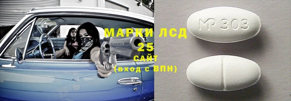 хмурый Алексин