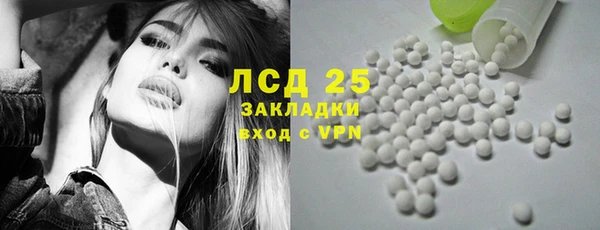 хмурый Алексин
