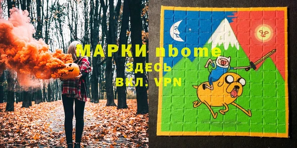 хмурый Алексин