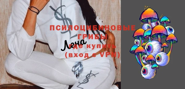 хмурый Алексин